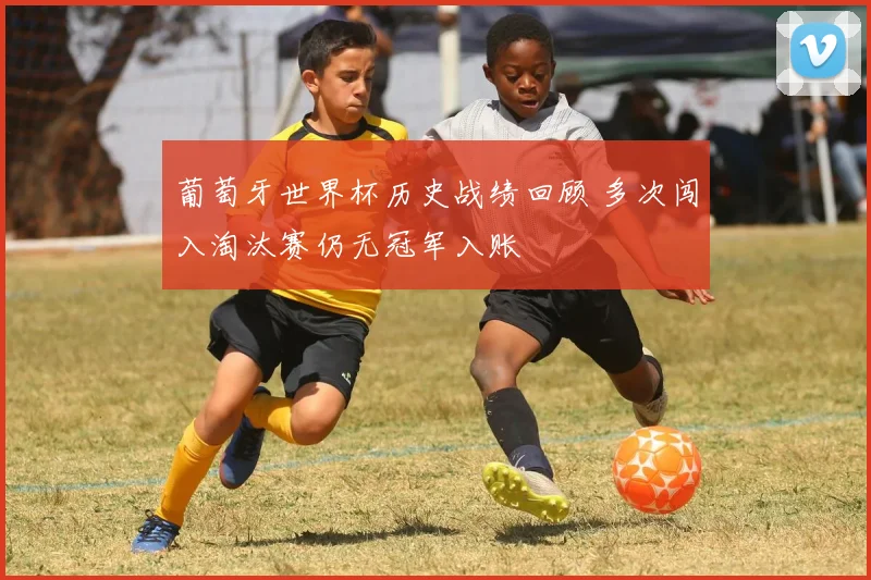 葡萄牙世界杯历史战绩回顾 多次闯入淘汰赛仍无冠军入账