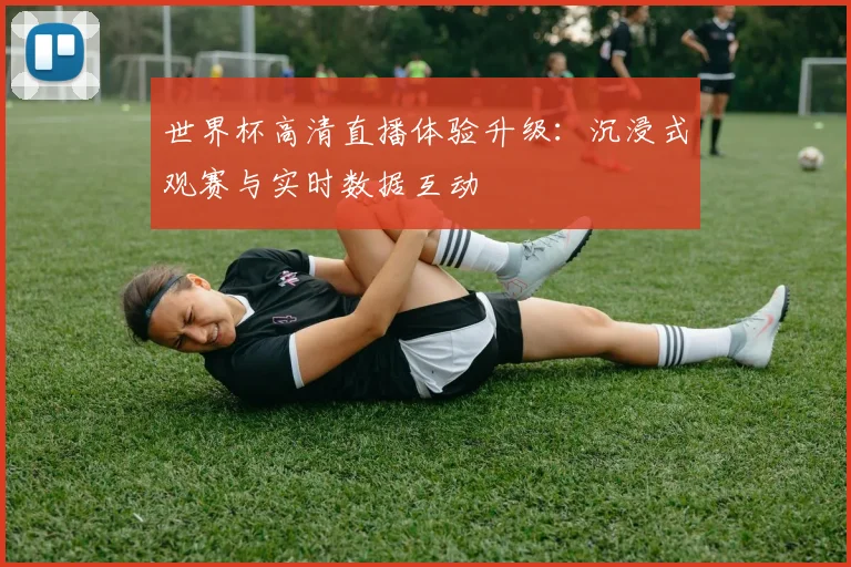 世界杯高清直播体验升级：沉浸式观赛与实时数据互动